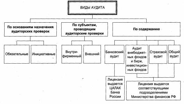 Реферат: Министерства финансов РФ